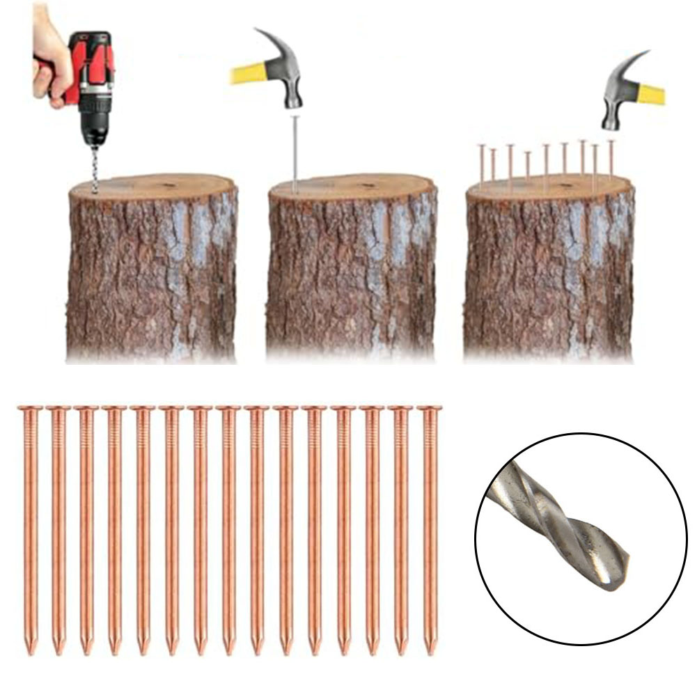 Gardening Tools Target - Clous en cuivre massif de 2