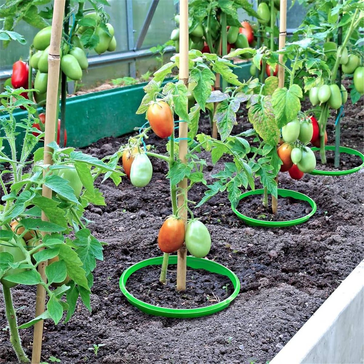 【OFFRE À COMPTOURTER】 4 Anneau - Gardening Tools Deals avis et prix