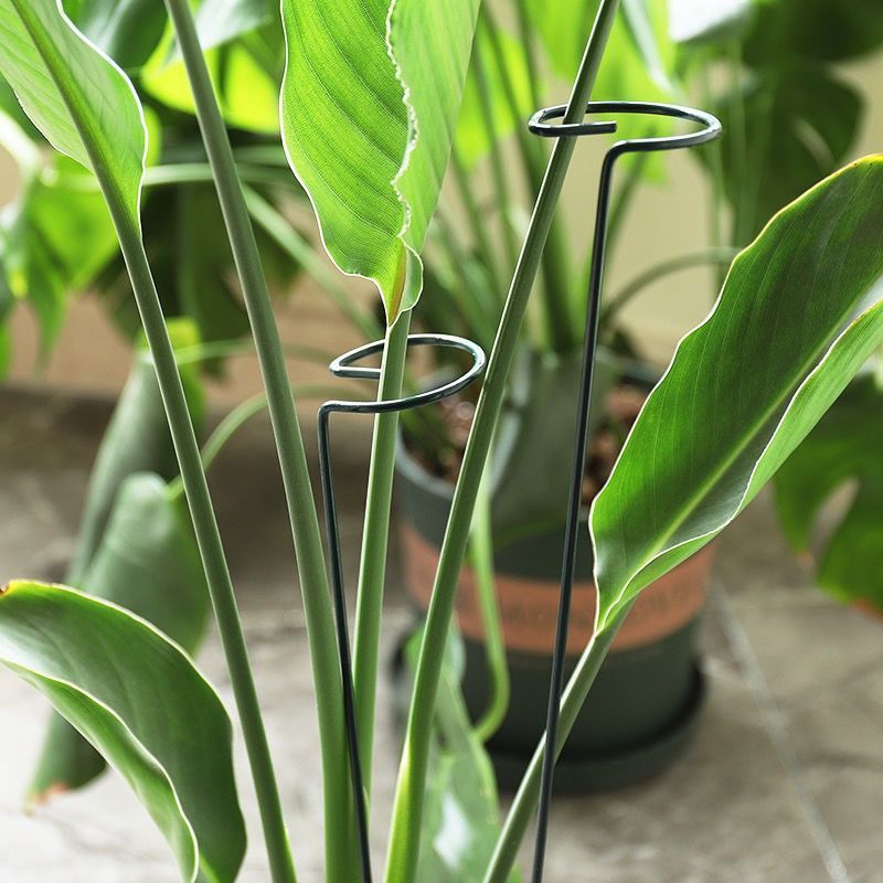Anneau de piquet de Support de - Gardening Tools Holder avis et prix