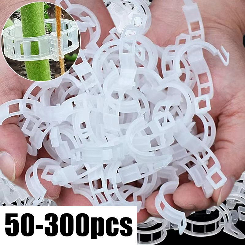 50-300 Pièces Clips de Soutien - Gardening Tools Holder avis et prix