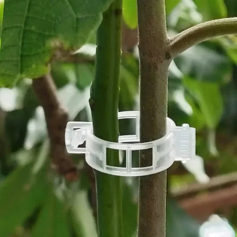 50-300 Pièces Clips de Soutien - Gardening Tools Holder avis et prix