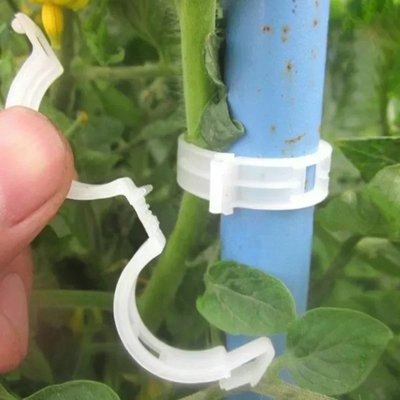 50-300 Pièces Clips de Soutien - Gardening Tools Holder avis et prix