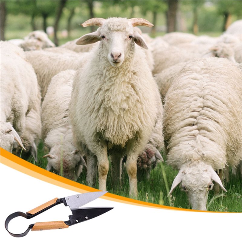 【OFFRE FLASH】Ciseaux de jardin - Gardening Tools Deals avis et prix