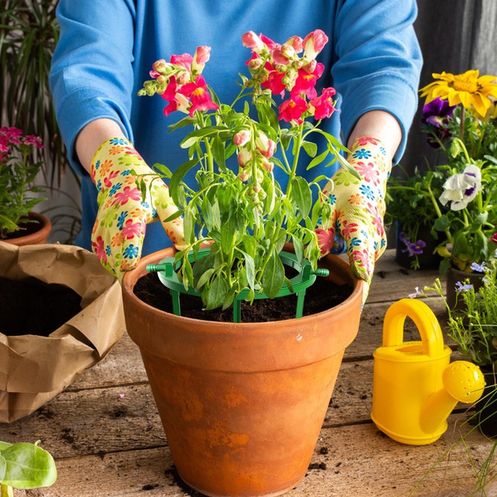 Anneaux d'irrigation pour plan - Gardening Tools Target avis et prix