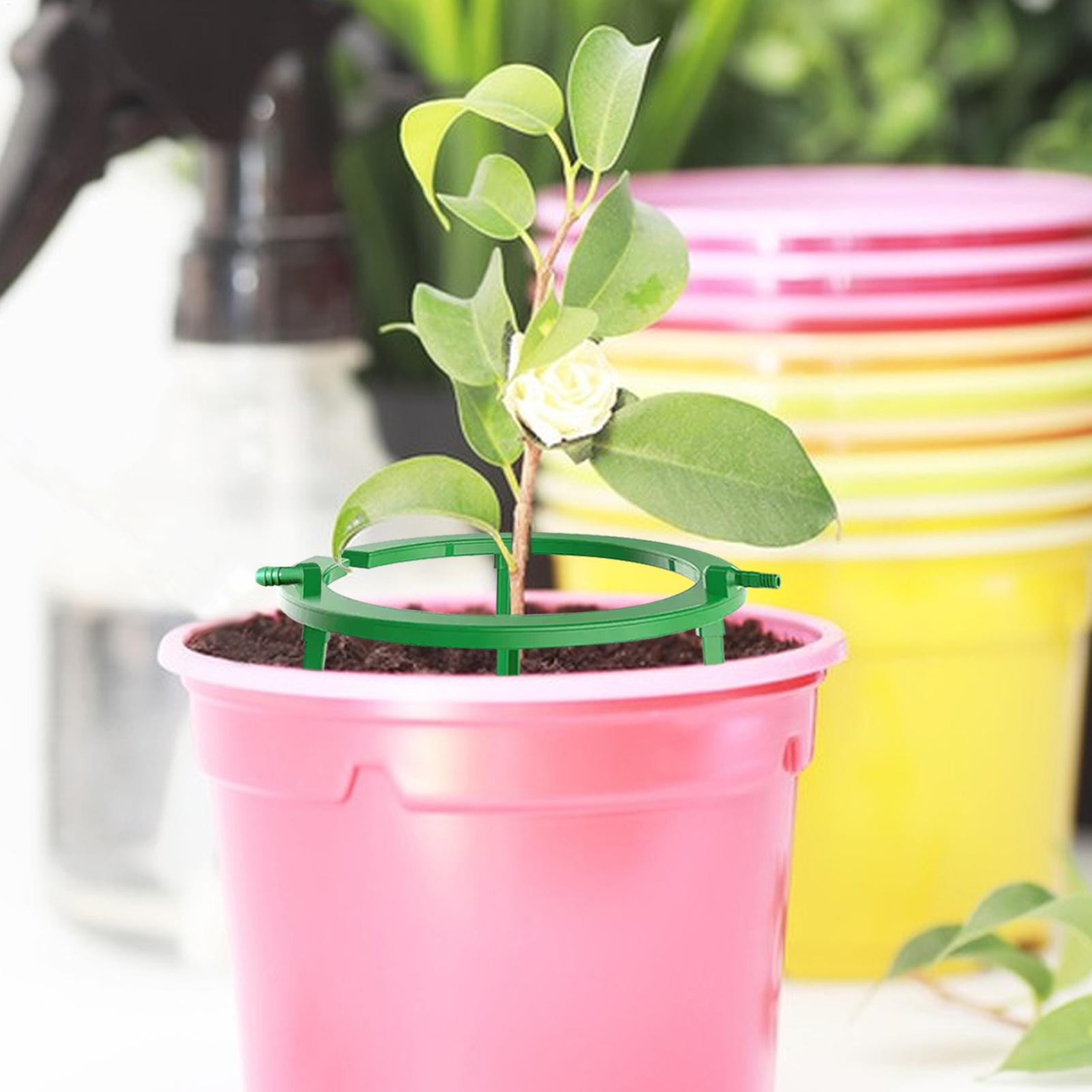 Anneaux d'irrigation pour plan - Gardening Tools Target avis et prix