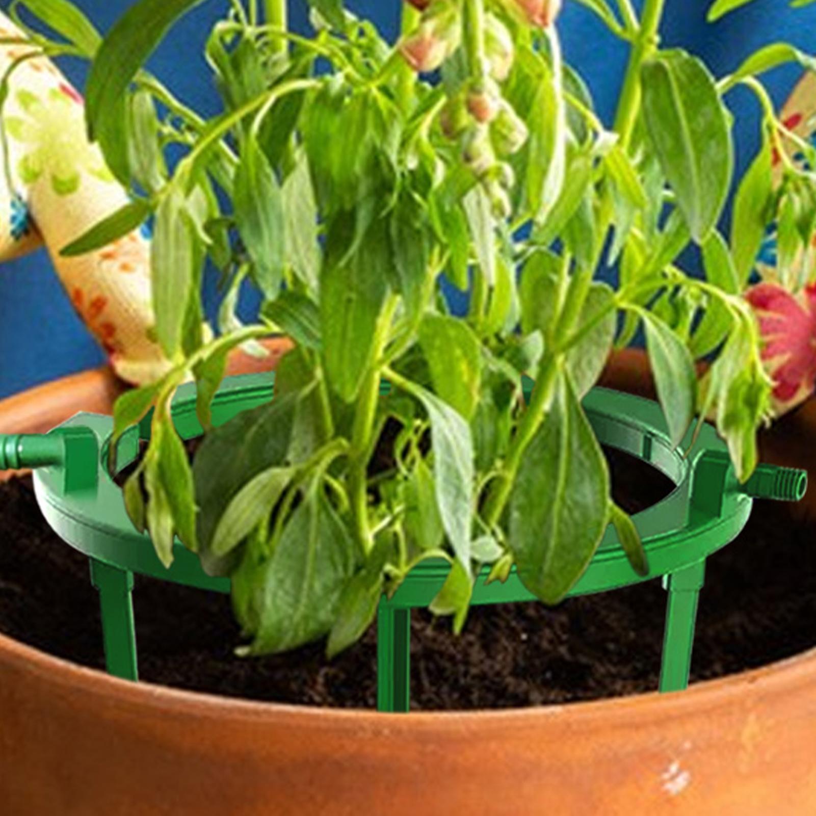 Anneaux d'irrigation pour plan - Gardening Tools Target avis et prix