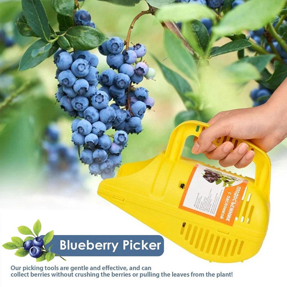 Râteau à bleuets |   Outil eff - Gardening Tools Rake avis et prix