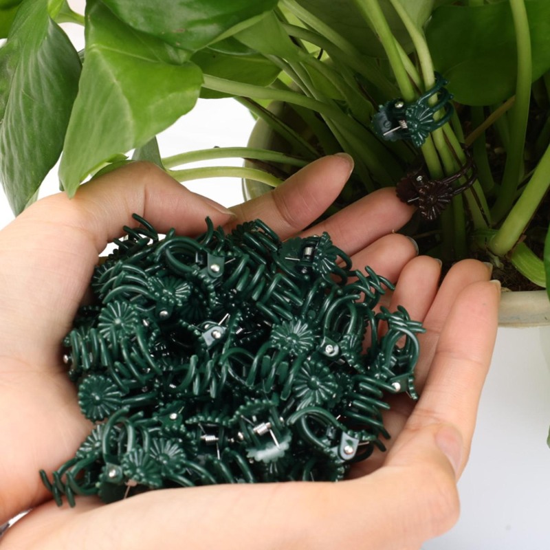 Clips de Soutien Mini en Gros  - Gardening Tools Store avis et prix