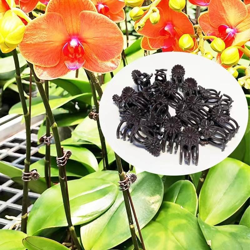 Clips de Soutien Mini en Gros  - Gardening Tools Store avis et prix
