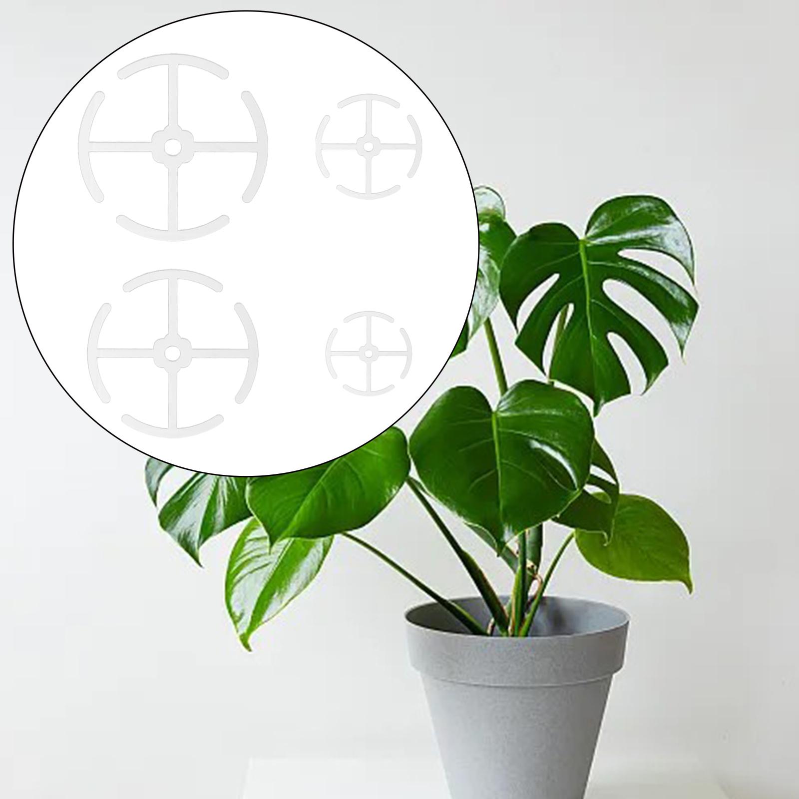 Supports de tiges de plantes e - Gardening Tools Holder avis et prix