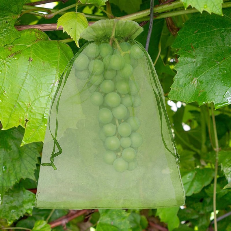 Sacs de protection en gros pou - Gardening Tools Store avis et prix
