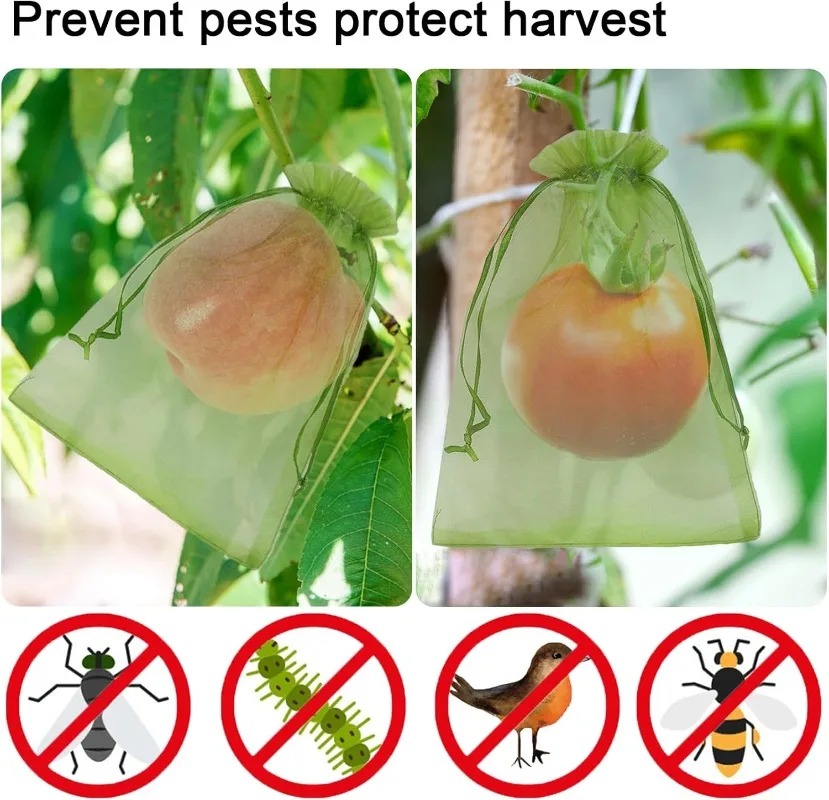 Sacs de protection en gros pou - Gardening Tools Store avis et prix