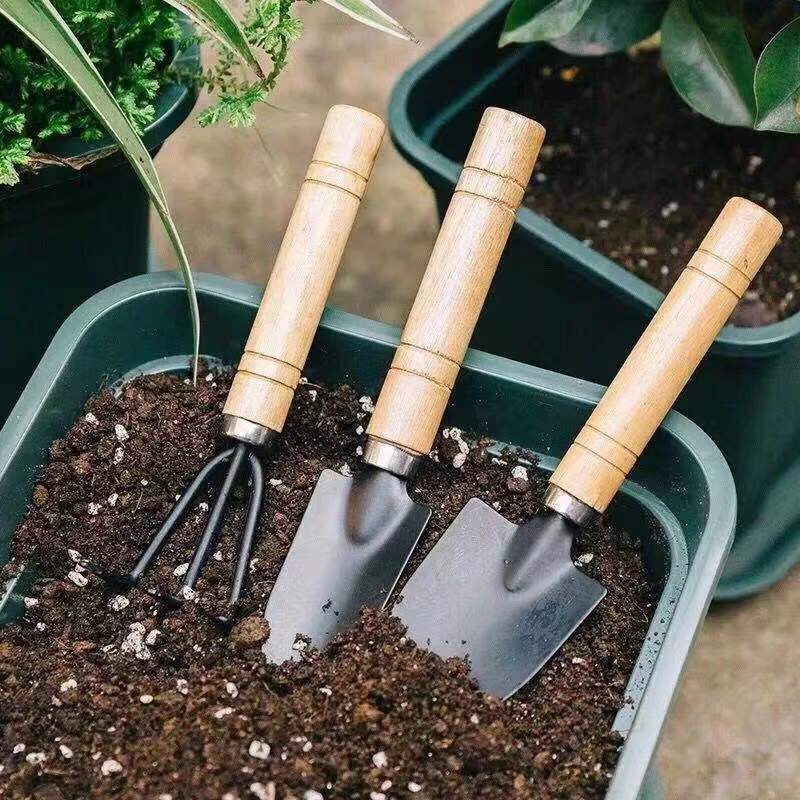 3 pièce/1 ensemble Mini ensemb - Gardening Tools Equipment avis et prix