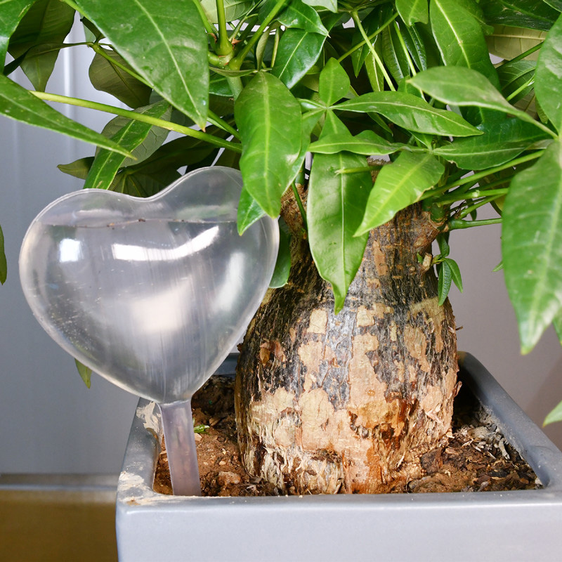 Dispositif d'arrosage automati - Gardening Tools Equipment avis et prix