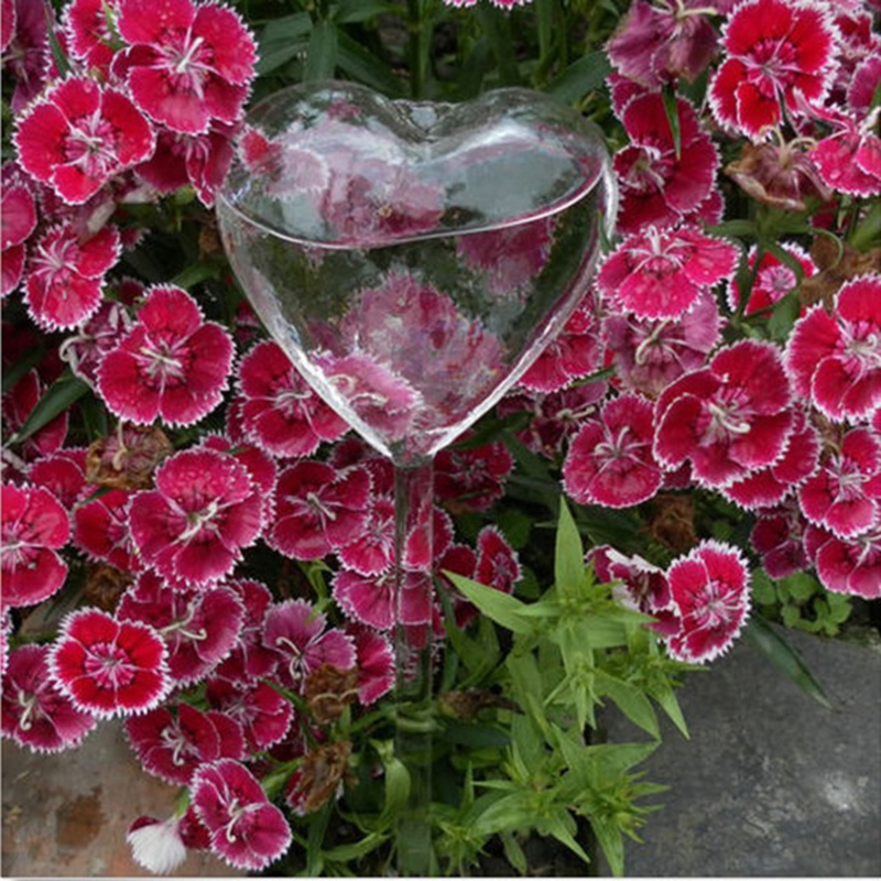 Dispositif d'arrosage automati - Gardening Tools Equipment avis et prix