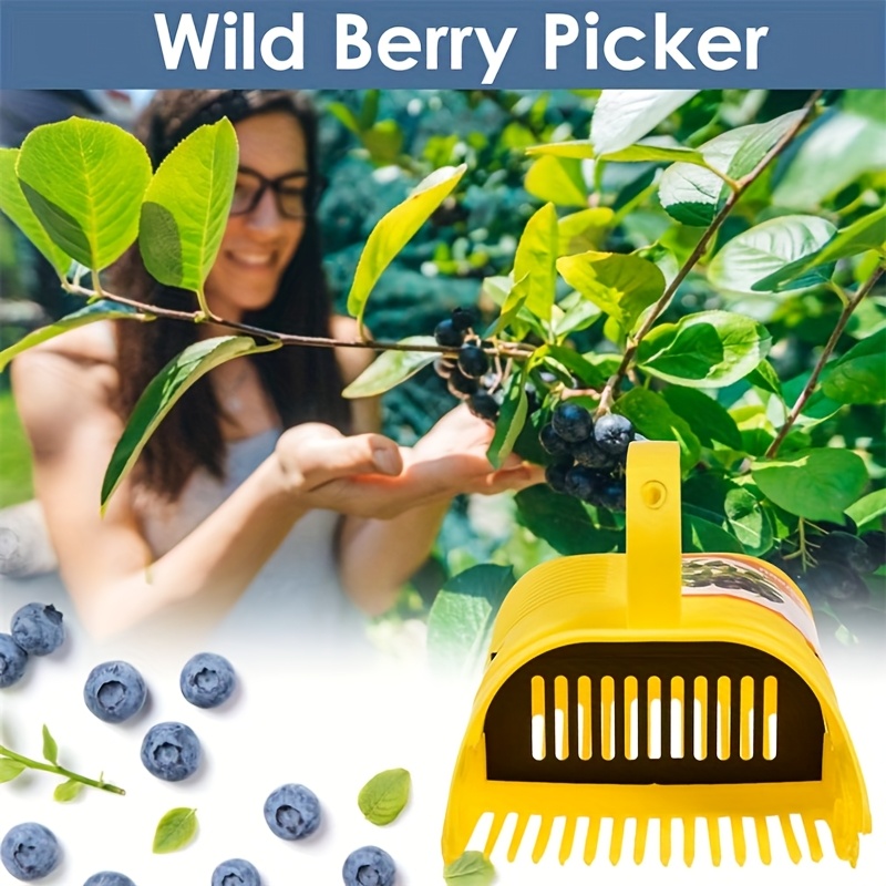Outil de cueillette de bleuets - Gardening Tools Rake avis et prix