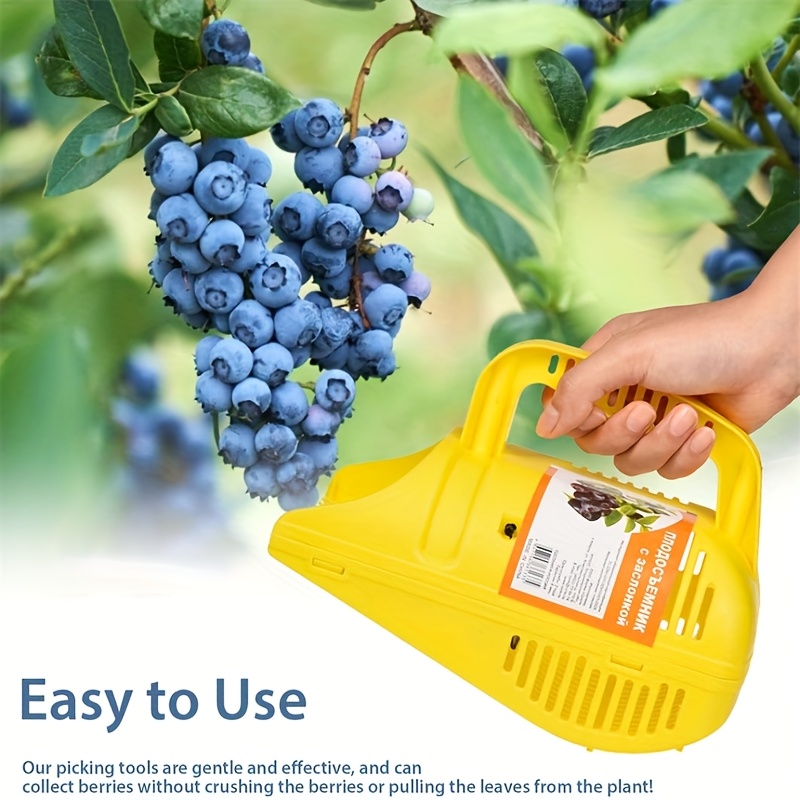 Outil de cueillette de bleuets - Gardening Tools Rake avis et prix