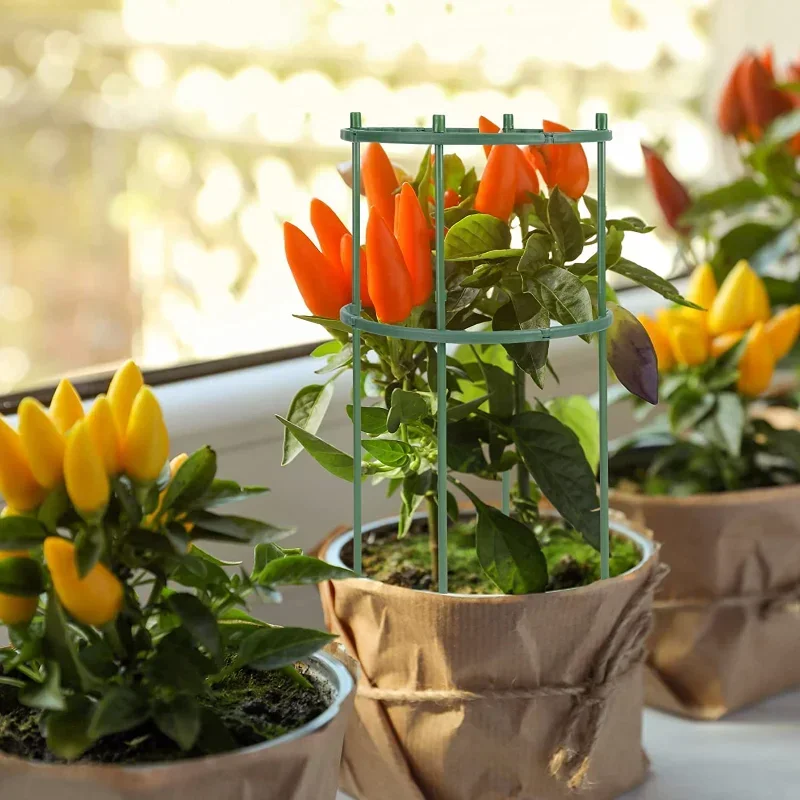 Support de Pile de Support de  - Gardening Tools Holder avis et prix
