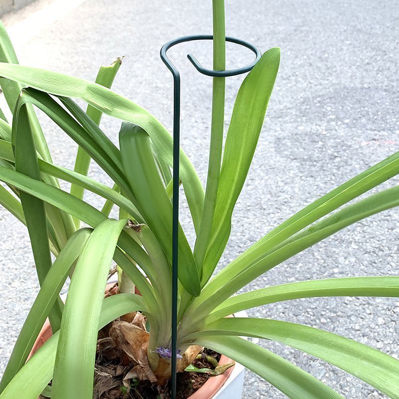 Support d'arbustes pour plante - Gardening Tools Holder avis et prix