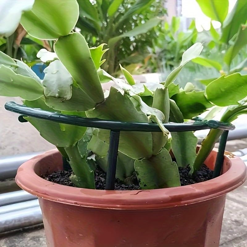 Support de plante en plastique - Gardening Tools Holder avis et prix