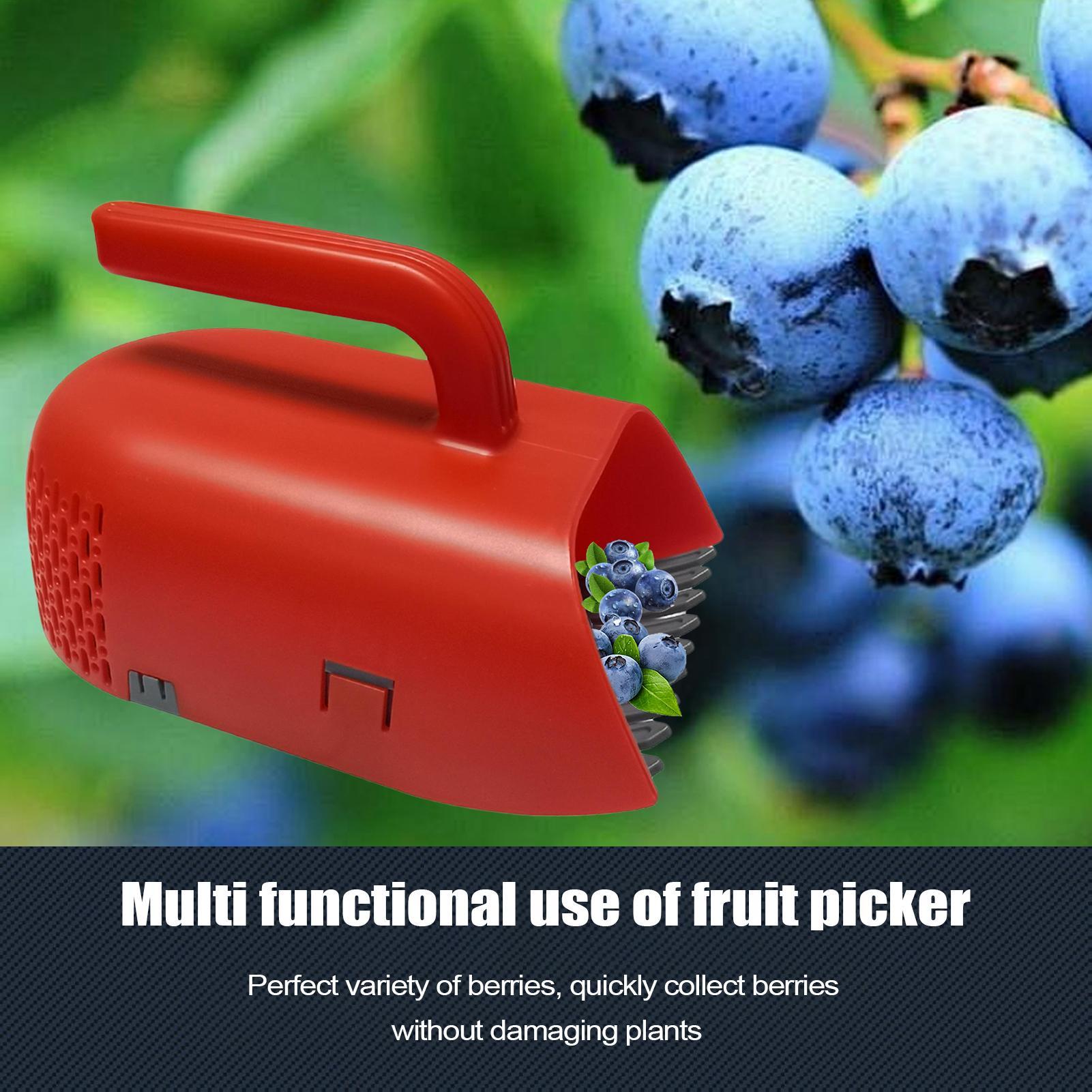 Râteau de cueillette de baies  - Gardening Tools Rake avis et prix