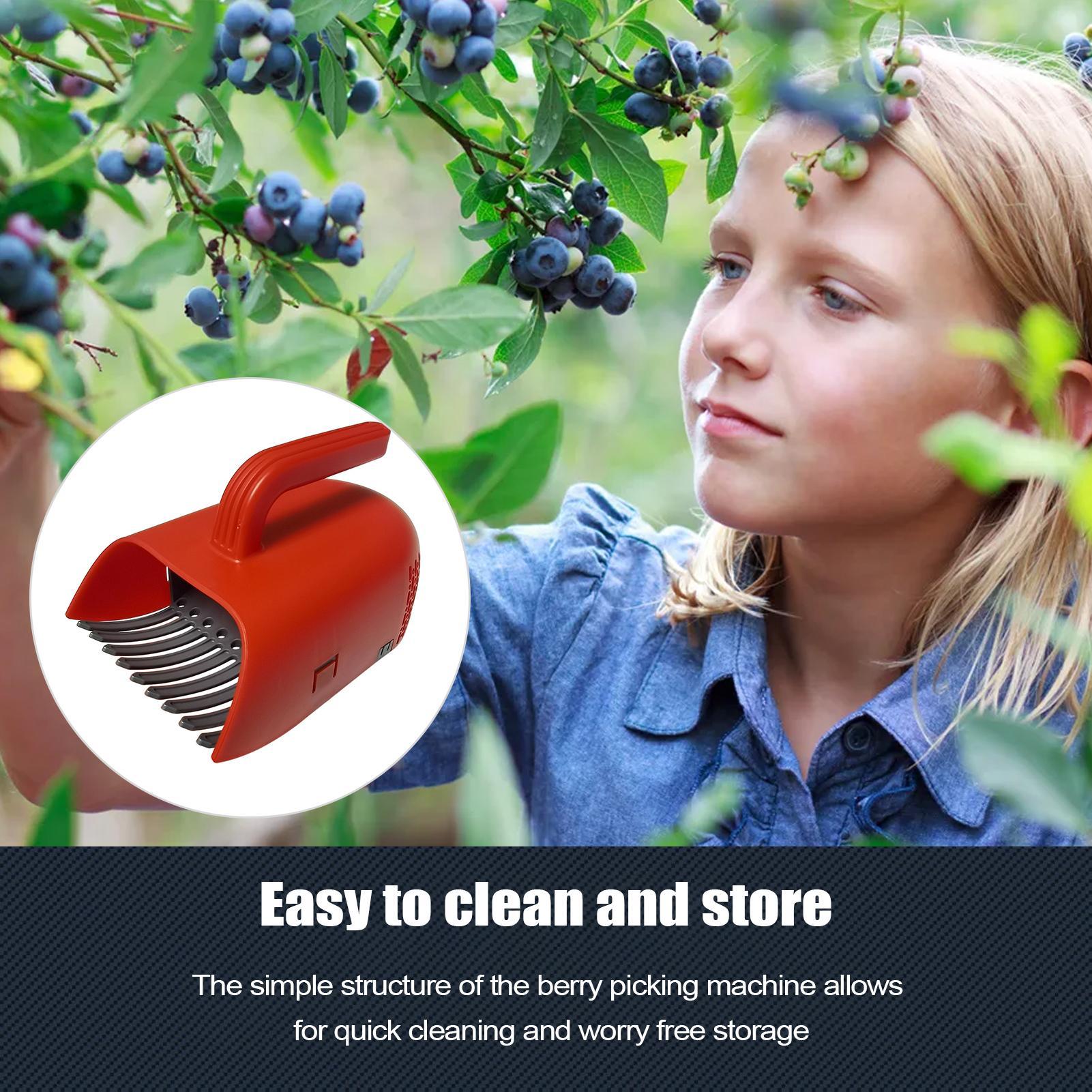 Râteau de cueillette de baies  - Gardening Tools Rake avis et prix