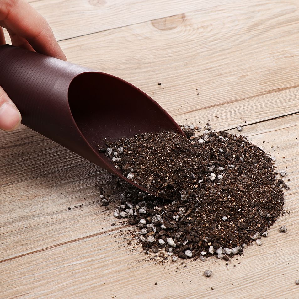 Tasse de pelle à sol en plasti - Gardening Tools Equipment avis et prix